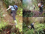 107 Jerome Ryan And Crew Climbing Thru Steep Forest To Shepherds Kharka In places it was so steep that it virtually amounted to climbing through semi-vertical jungle. (Lionel Terray, Conquistadors of the Useless).I could tell it was very steep when the porters even went on all fours to climb thru extra steep parts of the loose, muddy trail.